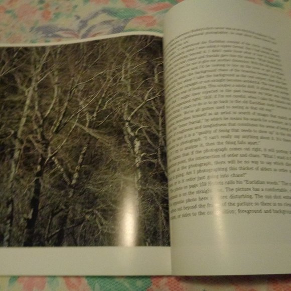 FRACTALS THE PATTERNS OF CHAOS BY JOHN BRIGGS 1992 - Picture 5 of 15